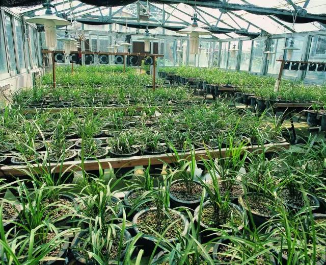 微信圖片_20170731173051.jpg 微信圖片_20170731173051.jpg