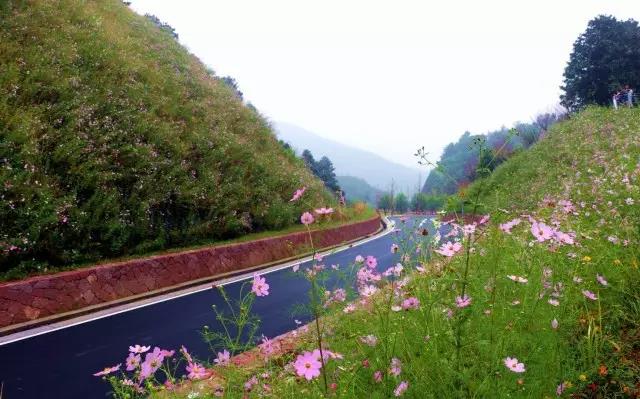 微信圖片_20170731173054.jpg 微信圖片_20170731173054.jpg